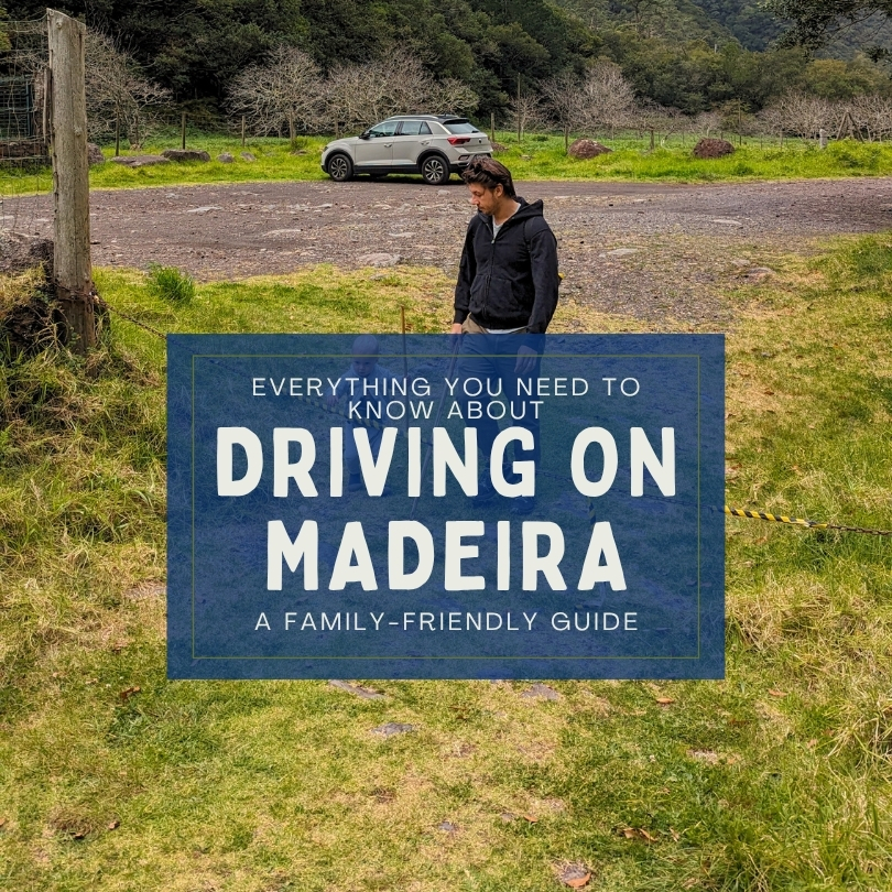 Everything You Need To Know About Driving in Madeira